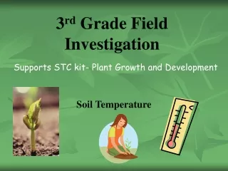 3 rd  Grade Field Investigation