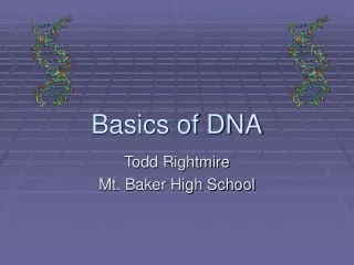 Basics of DNA