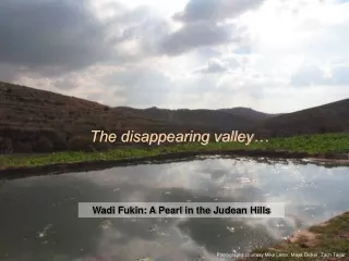 Wadi Fukin: A Pearl in the Judean Hills