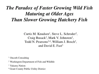 The Paradox of Faster Growing Wild Fish Maturing at Older Ages  Than Slower Growing Hatchery Fish