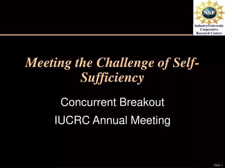 meeting the challenge of self sufficiency