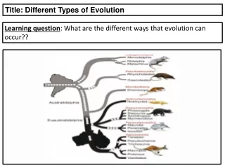 Learning question : What are the different ways that evolution can occur??