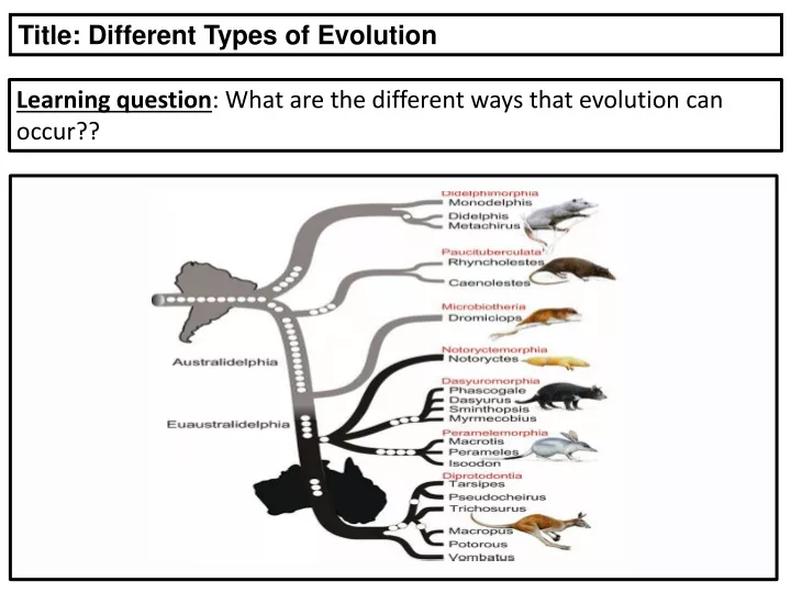 title different types of evolution