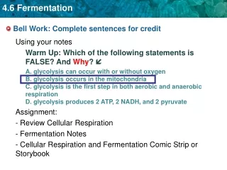 Bell Work: Complete sentences for credit