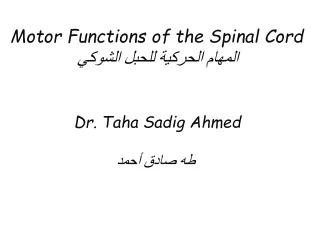 motor functions of the spinal cord dr taha sadig ahmed