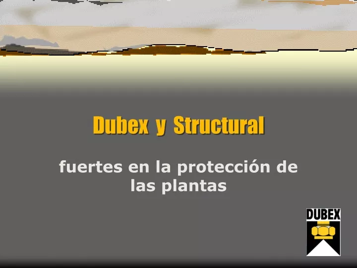 dubex y structural