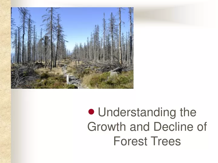 understanding the growth and decline of forest trees