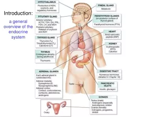 Introduction: a general overview of the endocrine system