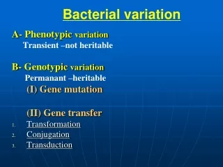 Bacterial variation