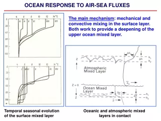 OCEAN RESPONSE TO AIR-SEA FLUXES