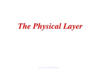 The Physical Layer