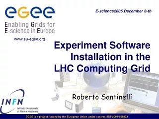 Experiment Software Installation in the LHC Computing Grid