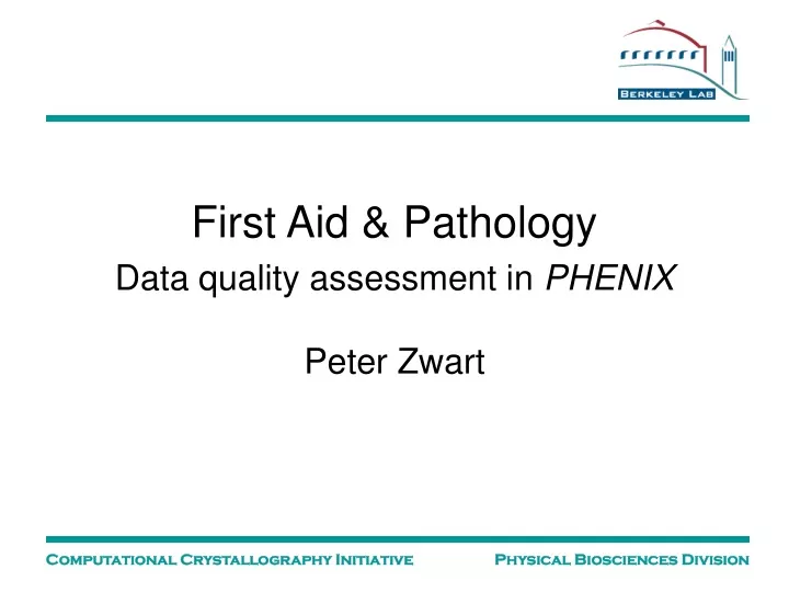 first aid pathology data quality assessment in phenix