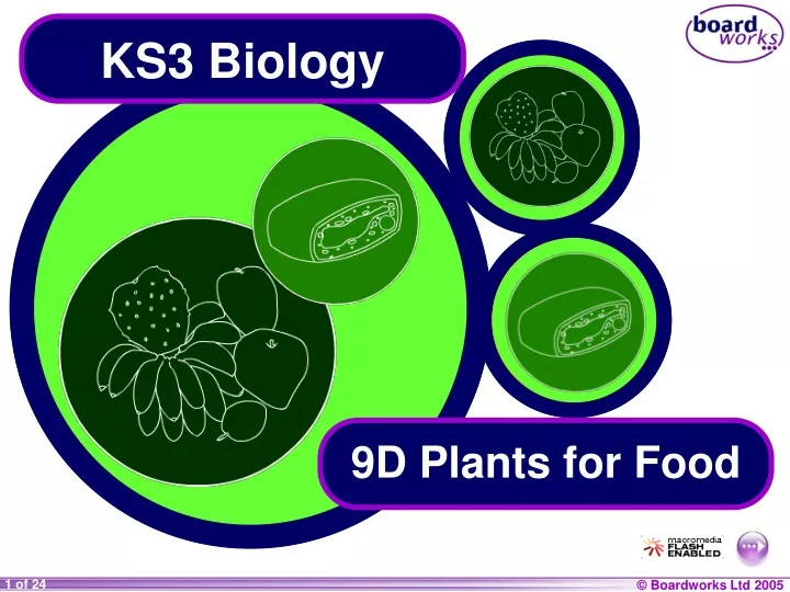ks3 biology