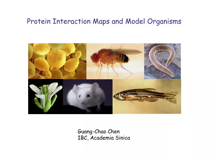 protein interaction maps and model organisms