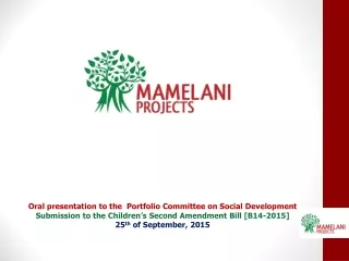 Oral presentation to the  Portfolio Committee on Social Development