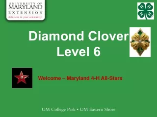 Diamond Clover Level 6