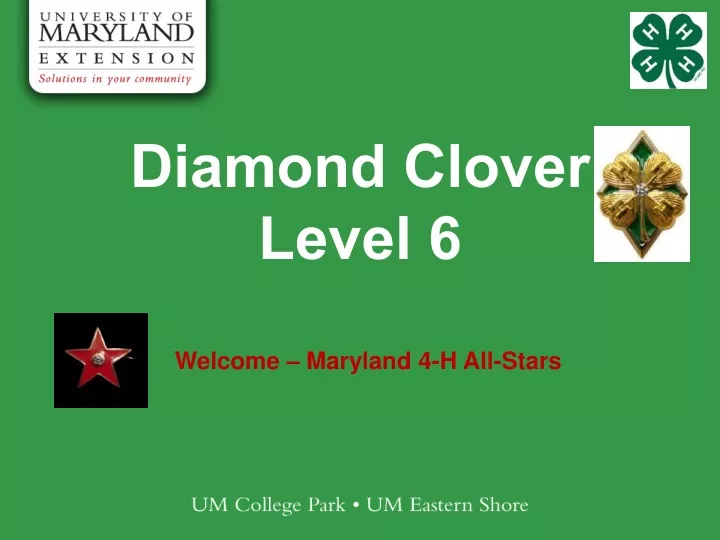 diamond clover level 6
