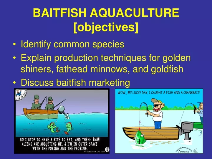 baitfish aquaculture objectives