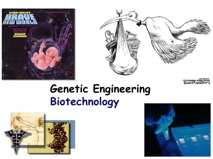 genetic engineering biotechnology