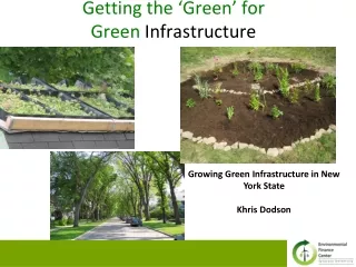 Getting the ‘Green’ for  Green  Infrastructure