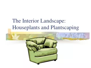 The Interior Landscape: Houseplants and Plantscaping