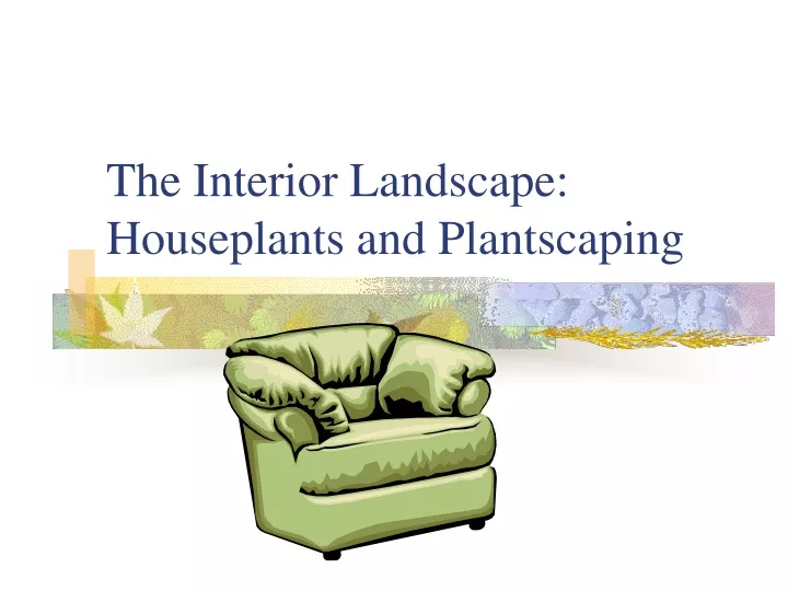 the interior landscape houseplants and plantscaping