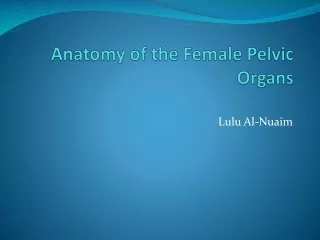 Anatomy of the Female Pelvic Organs