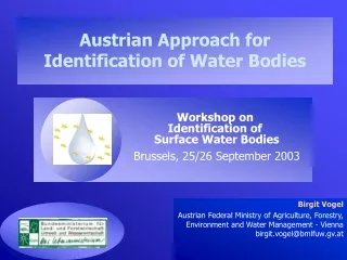 Austrian Approach for Identification of Water Bodies