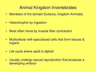 Animal Kingdom Invertebrates
