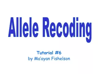 Tutorial #6 by Ma’ayan Fishelson
