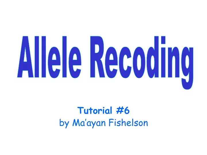 tutorial 6 by ma ayan fishelson