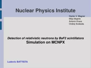 Nuclear Physics Institute