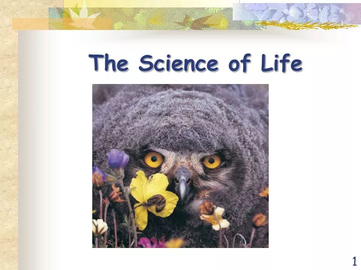 the science of life