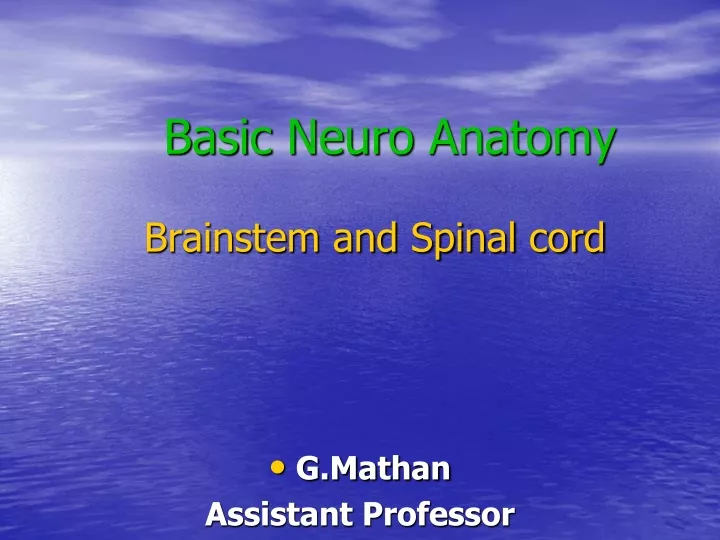 basic neuro anatomy brainstem and spinal cord