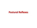 Postural Reflexes - slide 1