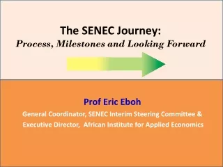 The SENEC Journey: Process, Milestones and Looking Forward