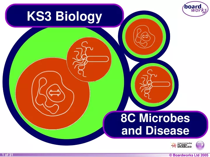 ks3 biology