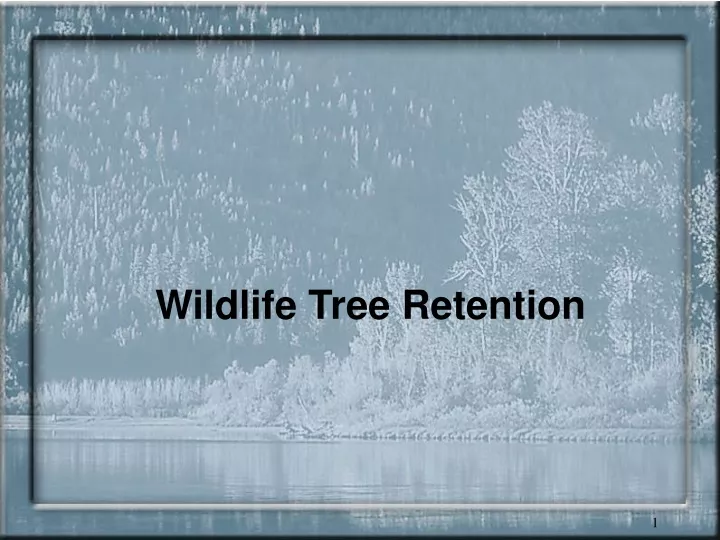 wildlife tree retention