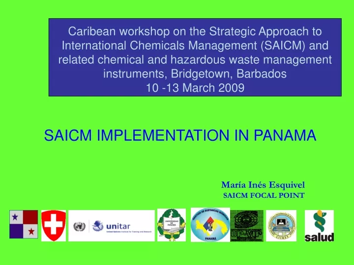 caribean workshop on the strategic approach