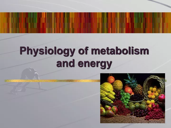 physiology of metabolism and energy
