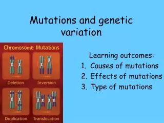 Mutations and genetic variation