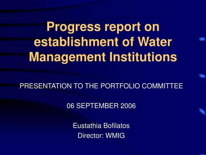progress report on establishment of water management institutions