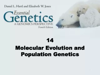 14 Molecular Evolution and Population Genetics