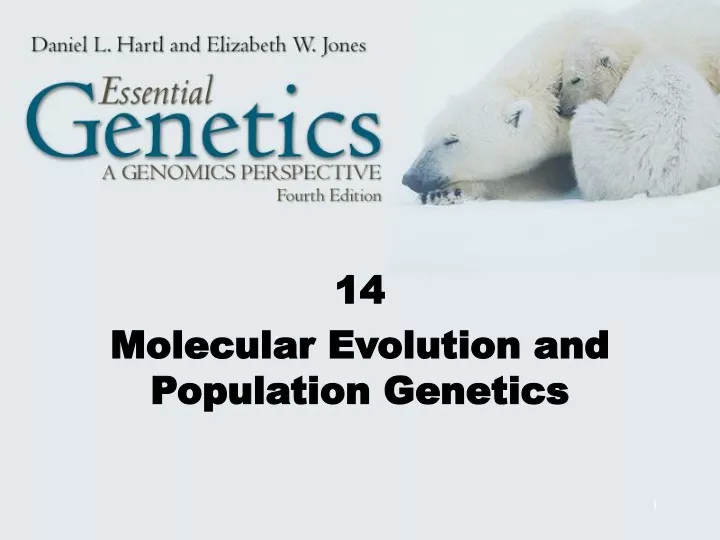 14 molecular evolution and population genetics