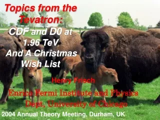 Topics from the Tevatron: CDF  and  D0  at 1.96 TeV  And A Christmas Wish List