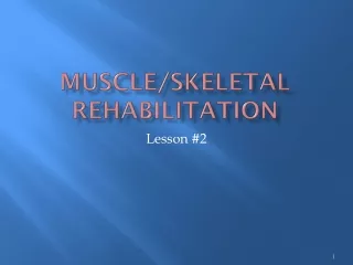 Muscle/Skeletal Rehabilitation