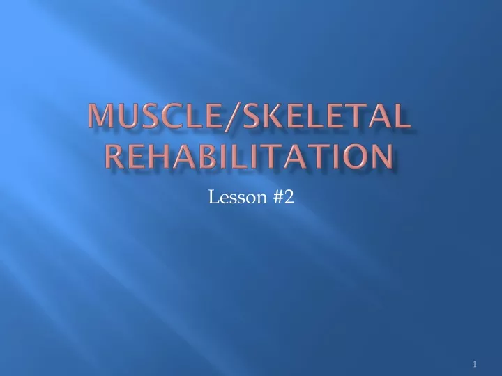 muscle skeletal rehabilitation