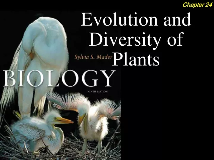 evolution and diversity of plants