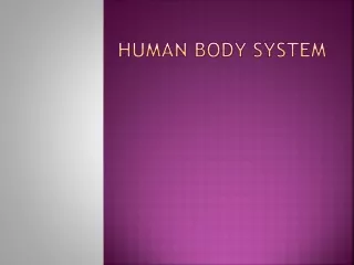 Human Body System